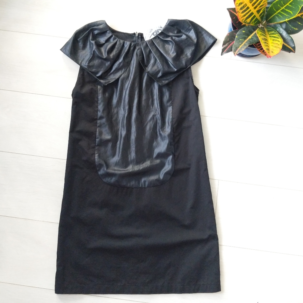 Ruffle Collar Dress
